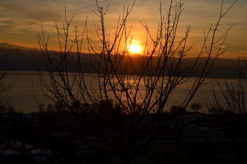 Ausblick Ausblick